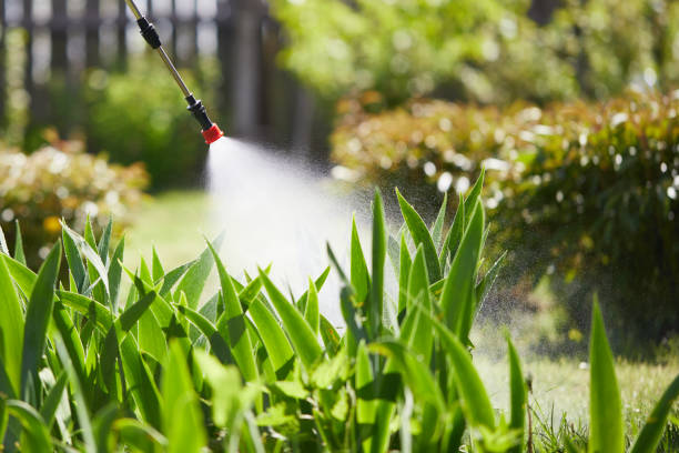 Tamper-Resistant Bait Stations for Rodents in North Fork