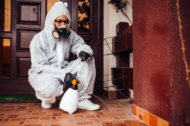 Attic and Crawl Space Rodent Treatment in North Fork